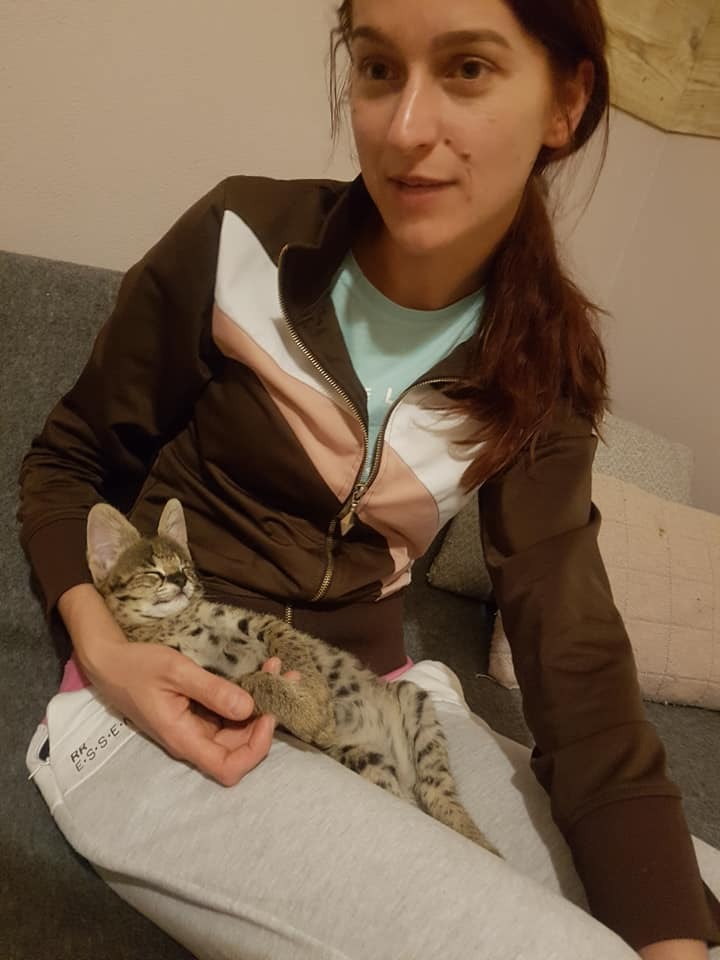 luxery pets